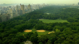 Công viên Trung tâm thành phố New York – “phòng thí nghiệm” cho các nghiên cứu khí hậu