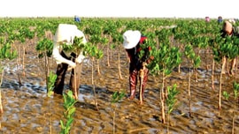 Quy định mới về đánh giá tác động của biến đổi khí hậu