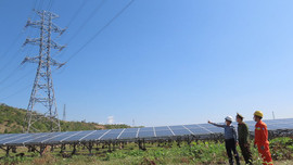Giữ vững an ninh truyền tải điện khu vực Nam miền Trung, Tây Nguyên trong mùa nắng nóng