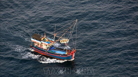 Hội Nghề cá Việt Nam phản đối Trung Quốc đơn phương cấm đánh bắt cá ở Biển Đông