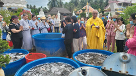 ĐBSCL ứng phó BĐKH: Bài 4:  Các tổ chức tôn giáo ở Tiền Giang sống “tốt đời, đẹp đạo”, chung tay bảo vệ môi trường