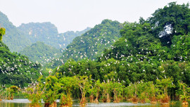 Xây dựng Chỉ số đa dạng sinh học đa chiều cho Việt Nam