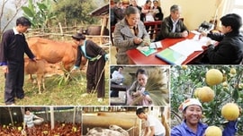 Bố trí ổn định dân cư vùng thiên tai, đặc biệt khó khăn