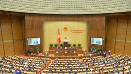 Siết chặt kỷ luật, kỷ cương cán bộ thực thi công vụ thực hành tiết kiệm chống lãng phí
