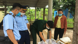 Quảng Trị: Phát hiện hơn 400 kg phụ phẩm lợn đông lạnh bốc mùi hôi thối