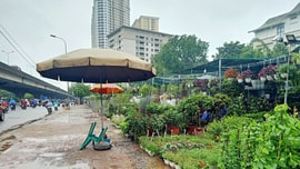 Xã Thanh Liệt, huyện Thanh Trì (Hà Nội): Dấu hiệu bất lực trước tình trạng lợi dụng đất dự án kinh doanh?