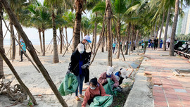 Kinh tế biển xanh - cơ hội phục hồi hệ sinh thái: Bảo vệ biển theo cách làm của Đà Nẵng