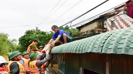 Thừa Thiên – Huế: Dự trữ 100 tấn gạo phục vụ cứu trợ khi có thiên tai