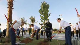 Bộ TN&MT cùng tỉnh Phú Yên trồng cây xanh tại Quảng trường tháp Nghinh Phong, TP Tuy Hoà 
