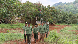 Đắk Nông: Hiệu quả từ công tác chi trả dịch vụ môi trường rừng