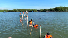 Bình Định: Xử lý tình trạng lấn chiếm đầm Thị Nại để nuôi trồng thủy sản