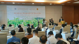 Lai Châu: Hội thảo xúc tiến sản phẩm trà vào thị trường Trung Đông, Bắc Phi và Nam Á