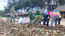 Thu gom hàng tấn rác trôi dạt vào bờ biển Vũng Tàu