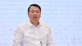 Thay đổi thành viên Tổ công tác kiểm tra, tháo gỡ khó khăn các dự án, đất đai trong kết luận thanh tra