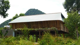 Tổng cục Lâm nghiệp đề nghị kiểm tra, xử lý tình trạng phá rừng, lấn chiếm đất rừng trái pháp luật tại Bình Định