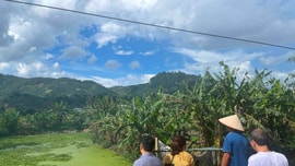 Sơn La: Xác minh phản ánh ô nhiễm suối Nậm Chanh