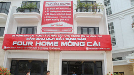 Quảng Ninh: Tạm dừng hoạt động 13 văn phòng giao dịch bất động sản