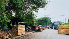 Nhà xưởng lấn đê ở Hà Nội: Đừng "đánh trống bỏ dùi"