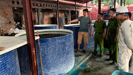 Bắc Giang: Xử phạt đối tượng vận chuyển chất thải nguy hại trái phép từ Bắc Ninh về Bắc Giang