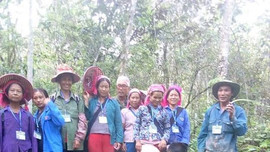 Khu Bảo tồn thiên nhiên Mường Nhé: Nguồn lực để bảo vệ phát triển rừng bền vững.