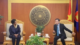 Bộ trưởng Trần Hồng Hà tiếp và làm việc với đại diện Chương trình Phát triển Liên Hợp Quốc 