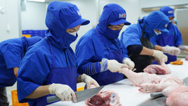 Khám phá quy trình chế biến thịt mát chuẩn khép kín của BaF