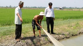 Bạc Liêu ứng phó BĐKH: Nhiều chuyển biến tích cực