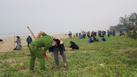 Hà Tĩnh ứng phó BĐKH vùng ven biển: Nhiều giải pháp thiết thực