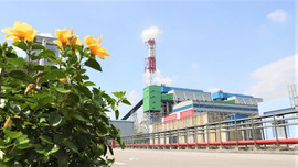 Nhà máy Nhiệt điện Nghi Sơn 1: Tuân thủ nghiêm ngặt về bảo vệ môi trường