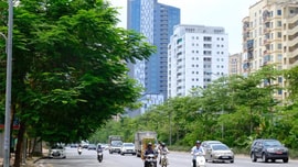 Thời tiết ngày 28/8: Hà Nội ngày nắng, chiều tối và đêm có mưa