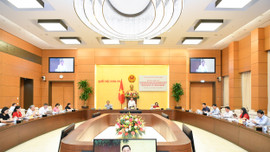 Đoàn giám sát của Ủy ban Thường vụ Quốc hội làm việc với Chính phủ về sắp xếp các đơn vị hành chính