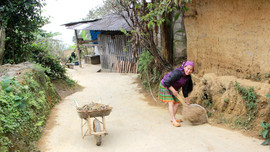 Lào Cai: Chung tay bảo vệ môi trường