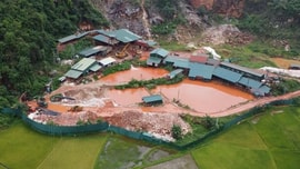 Vụ sụt lún tại huyện Quỳ Hợp (Nghệ An): Yêu cầu Công ty CP Tân Hoàng Khang khắc phục tồn tại