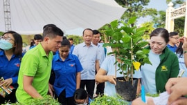 TP. Huế khởi động phân loại chất thải rắn sinh hoạt tại nguồn