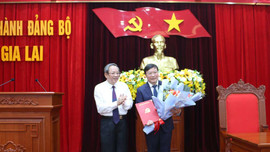 Bổ nhiệm ông Trương Hải Long giữ chức Phó Bí thư Tỉnh uỷ Gia Lai