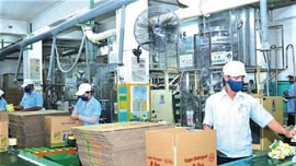 Vinachem: Giá trị sản xuất công nghiệp 8 tháng đầu năm 2022 tăng 32,1% so với cùng kỳ 2021