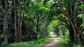 Vườn Quốc gia Cúc Phương được công nhận là Công viên Quốc gia hàng đầu Châu Á 2022