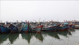 Thừa Thiên - Huế thực hiện lệnh cấm biển để phòng tránh bão Noru