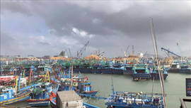 Kiểm tra công tác ứng phó với bão Noru tại các địa phương ven biển Bình Định