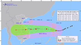 Khánh Hòa: Chủ động ứng phó bão Noru theo phương châm “4 tại chỗ”