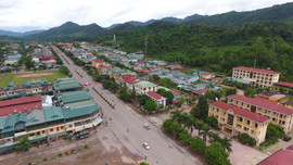 Mường Nhé (Điện Biên): Phát triển kinh tế rừng - hướng thoát nghèo bền vững