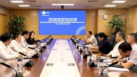 EVN đề xuất Trung Nam Group đưa Nhà máy Điện mặt trời Trung Nam vào tham gia thị trường phát điện cạnh tranh