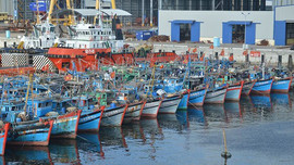 Thành lập Hội đồng thẩm định Quy hoạch cảng cá, khu neo đậu tránh trú bão cho tàu cá