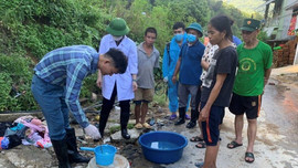Nghệ An: Quan tâm các biện pháp bảo vệ môi trường, không để bùng phát dịch bệnh sau mưa lũ