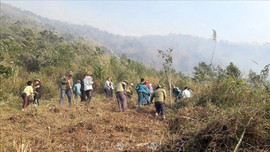 Lai Châu: Tăng cường công tác quản lý bảo vệ rừng và phòng cháy, chữa cháy rừng mùa khô.