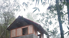 Vụ xây dựng công trình trái phép trên đất rừng và đất nông nghiệp ở Bá Thước (Thanh Hóa): Cần xử lý dứt điểm