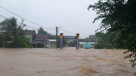 Phú Yên: Mưa lớn gây ngập lụt nhiều nơi 