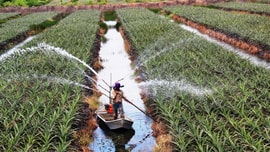 Khai thác, sử dụng nguồn “vàng trắng” bền vững