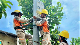 EVNNPC điện thương phẩm dẫn đầu trong toàn Tập đoàn Điện lực Việt Nam