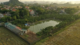 Ninh Bình: Dân tố nguyên Bí thư xã chuyển đổi trái phép hàng nghìn m2 đất nông nghiệp